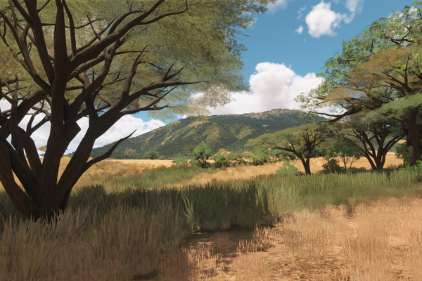 GlobalScenery56